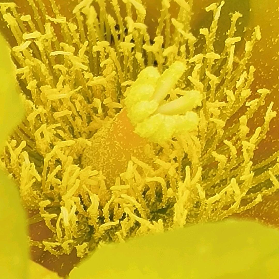 为你改变自己，