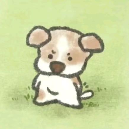 小白学长