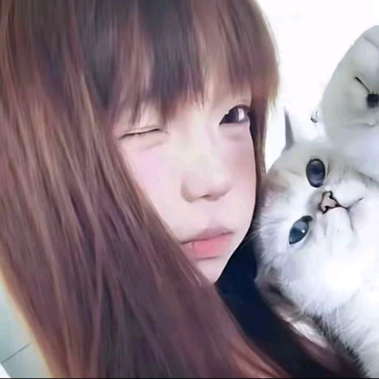 养只猫