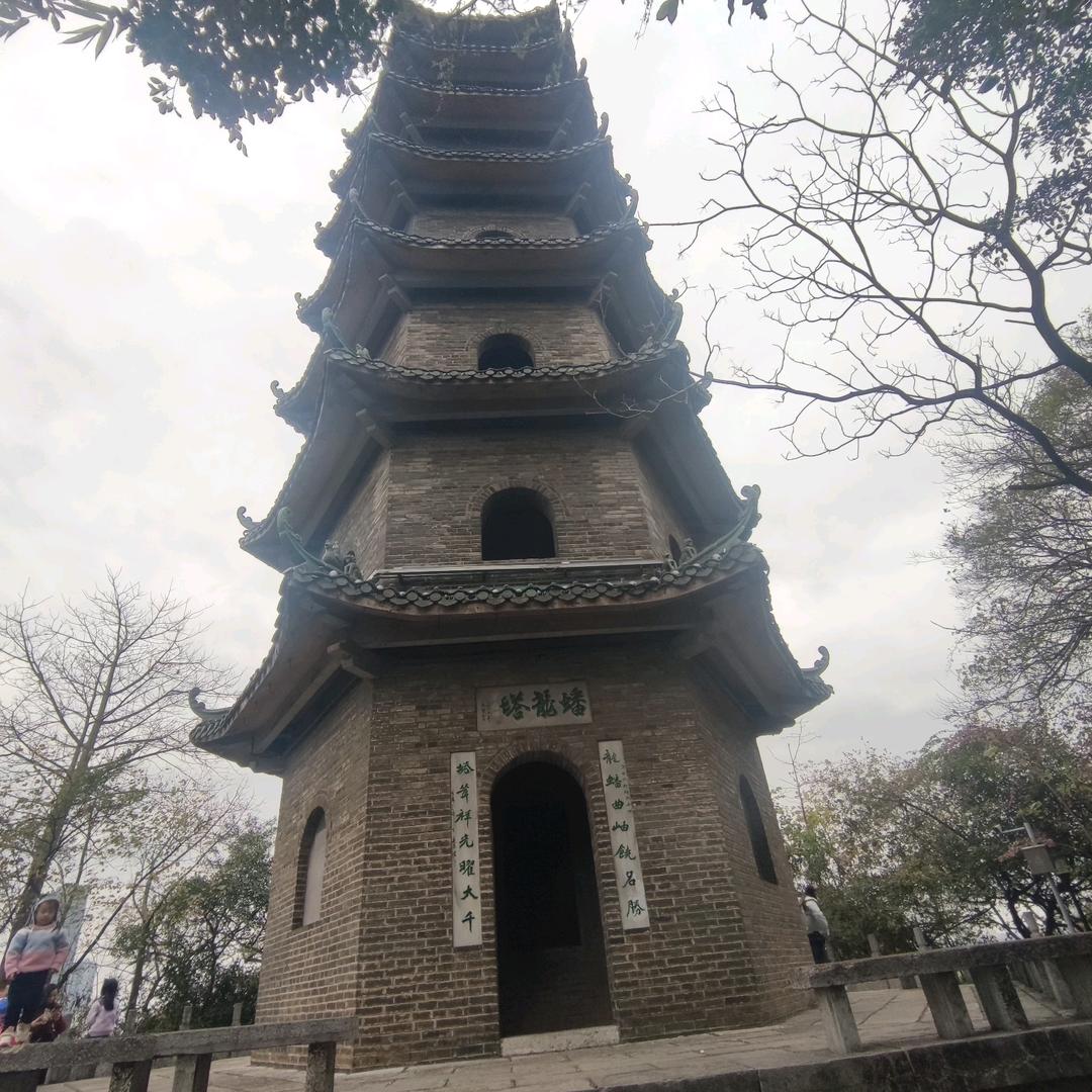 坑啊坑啊就习惯了