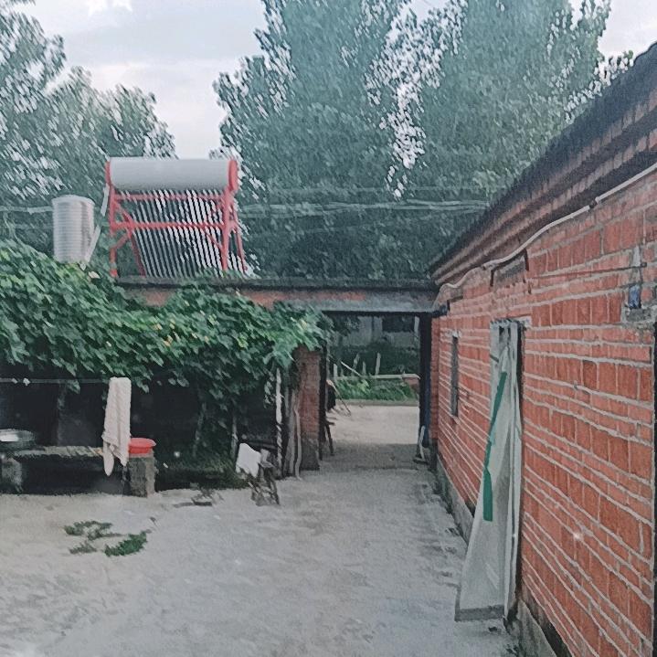 幸福每一天