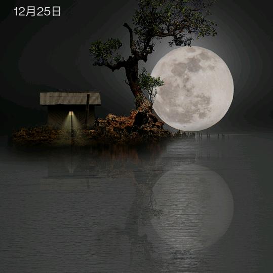C·Y 懿新