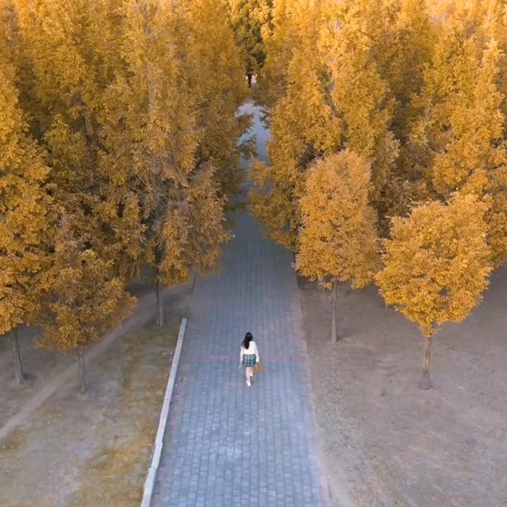 追光摄影
