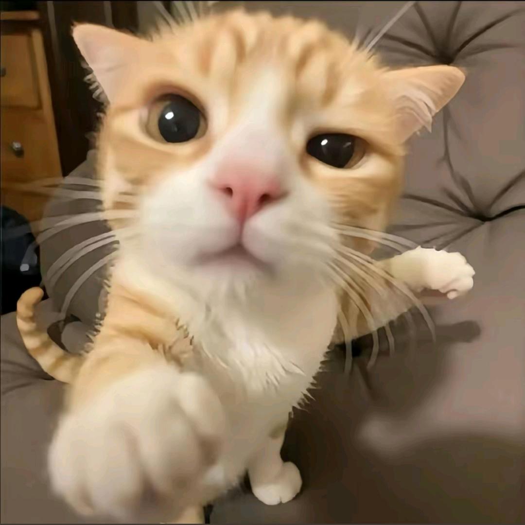 东方铭玥