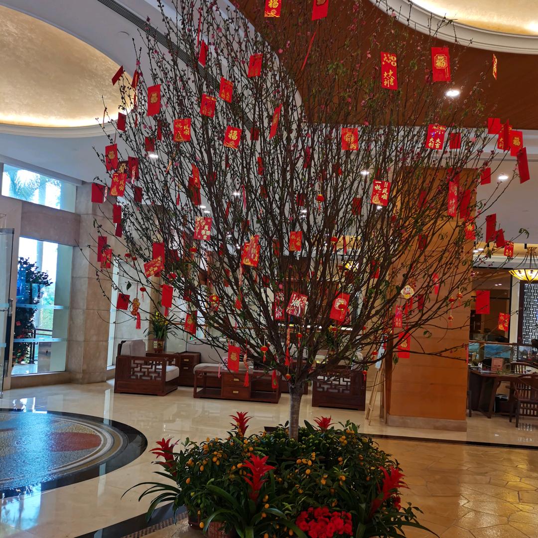 平常心🎄🌸🍁