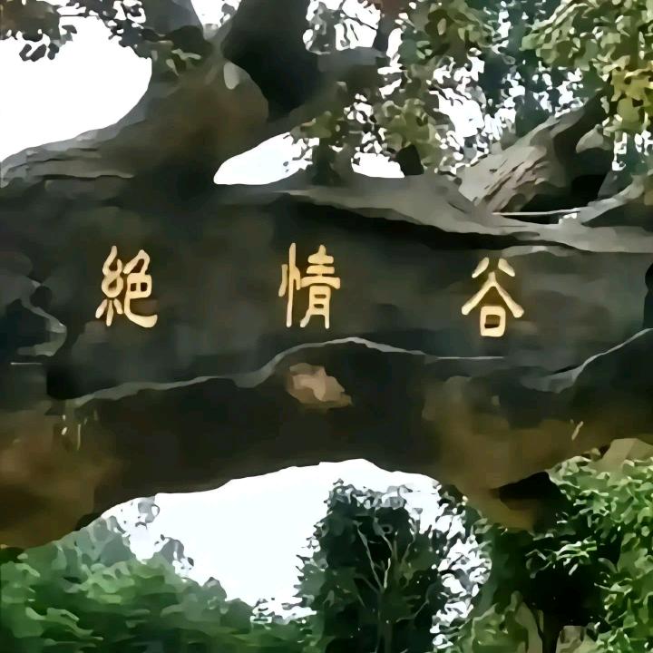 受了严重伤害的我，真不知道该怎么做