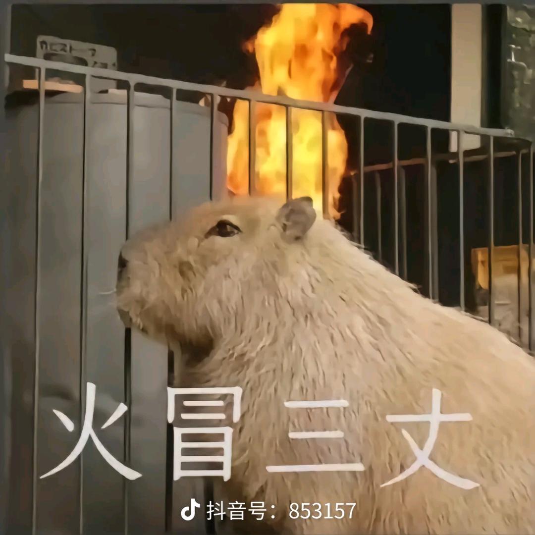 发呆的小绵羊(王者荣耀)