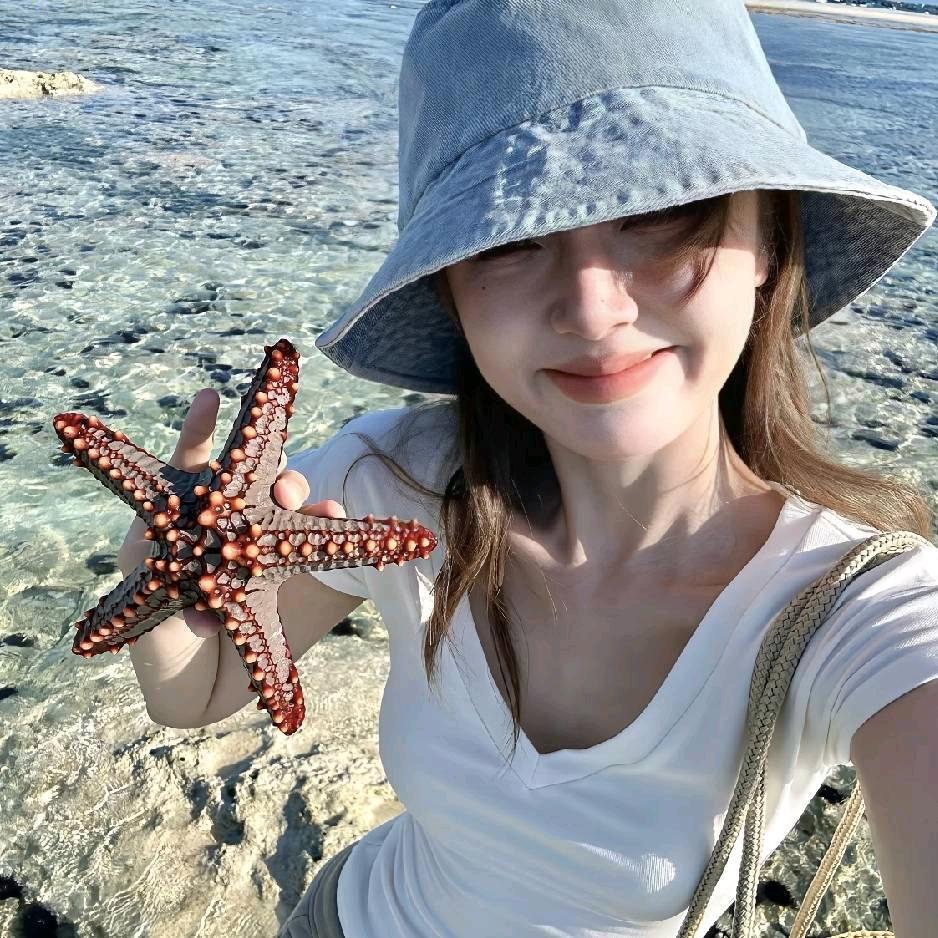 飞飞与拖鞋的故事