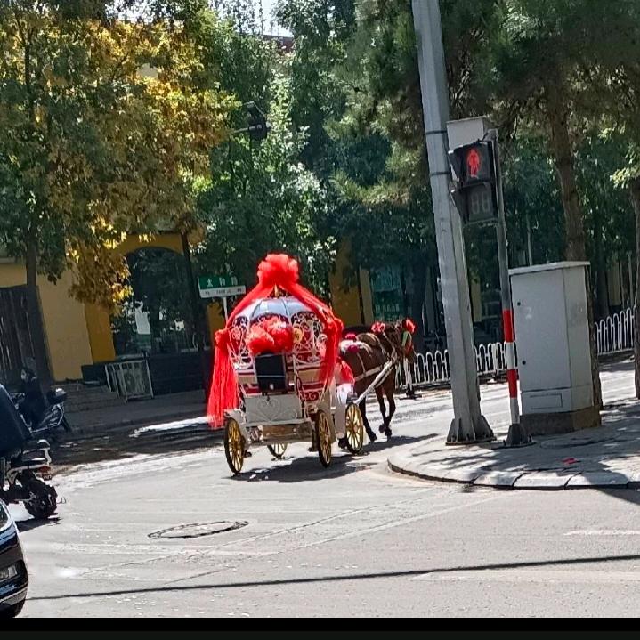 雾风海狼