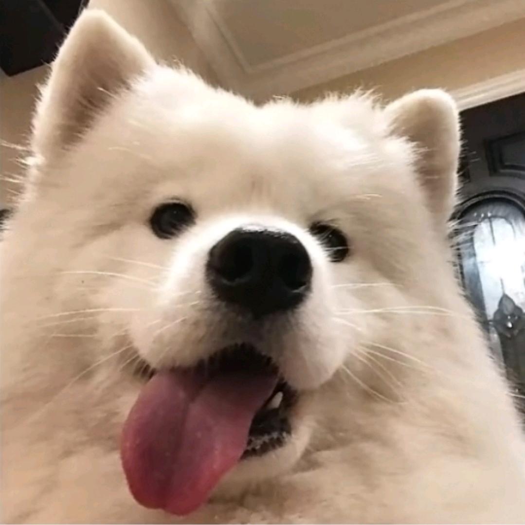 ToT