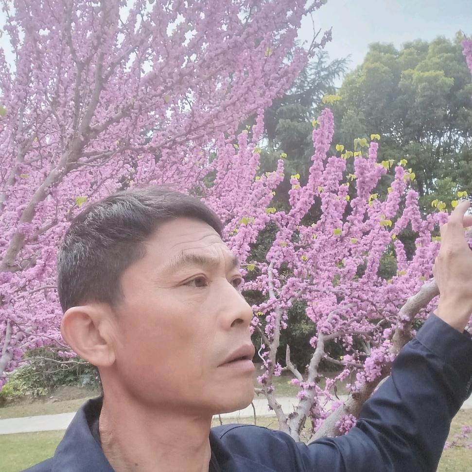 晴空万李