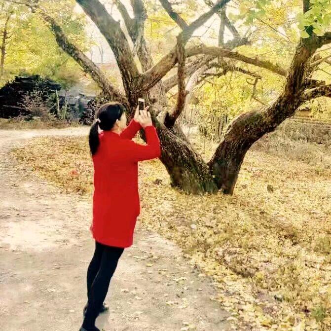 小平乐银杏宾馆