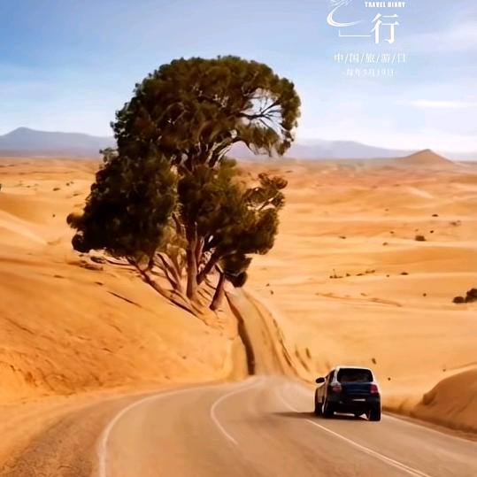 🍁一介俗人🍁