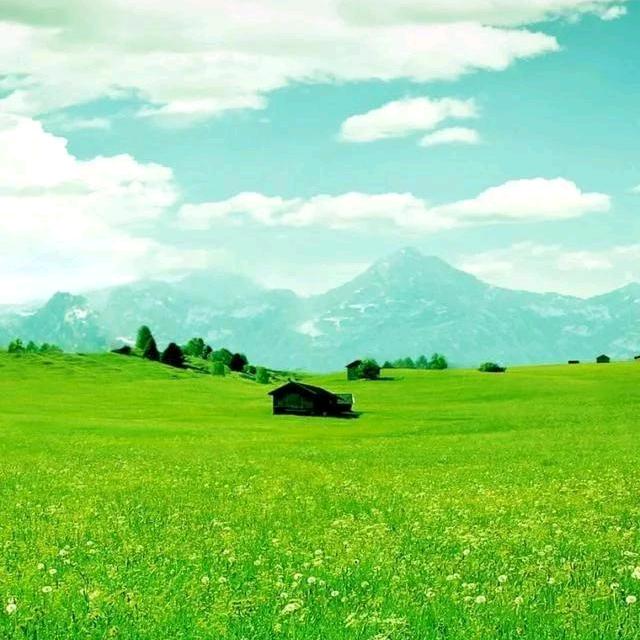 扶惠甄选