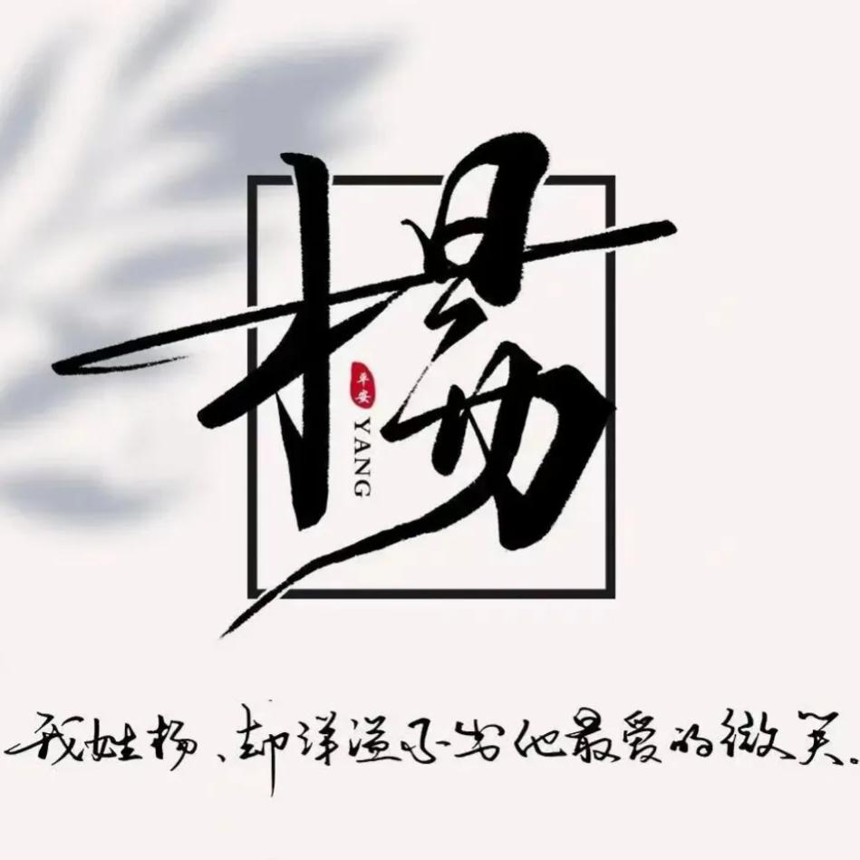 杨氏文化传媒-杨琪琛