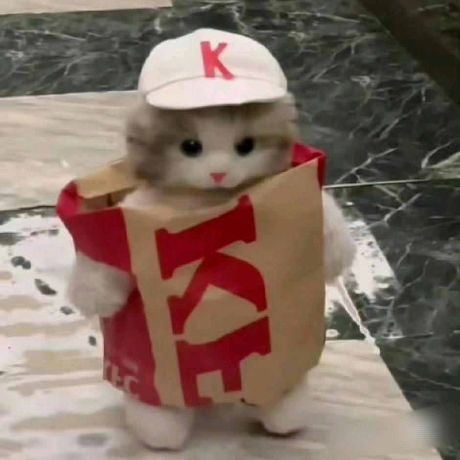 蛋炒饭加蛋