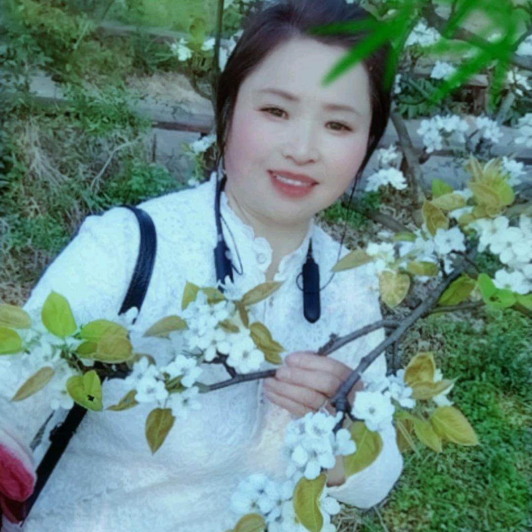 我是小燕子，