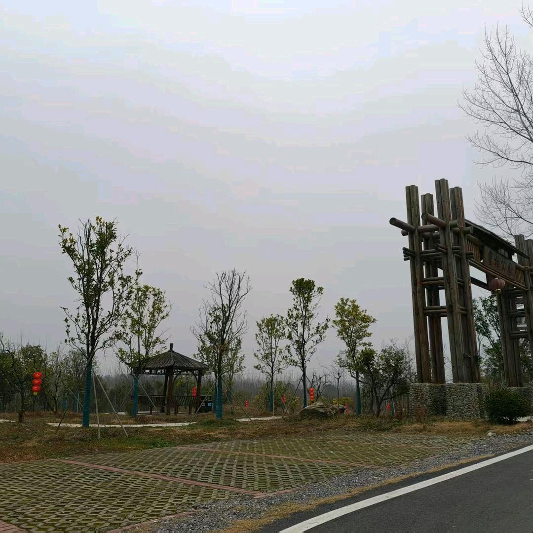 ZJH♡建筑木I单身快乐