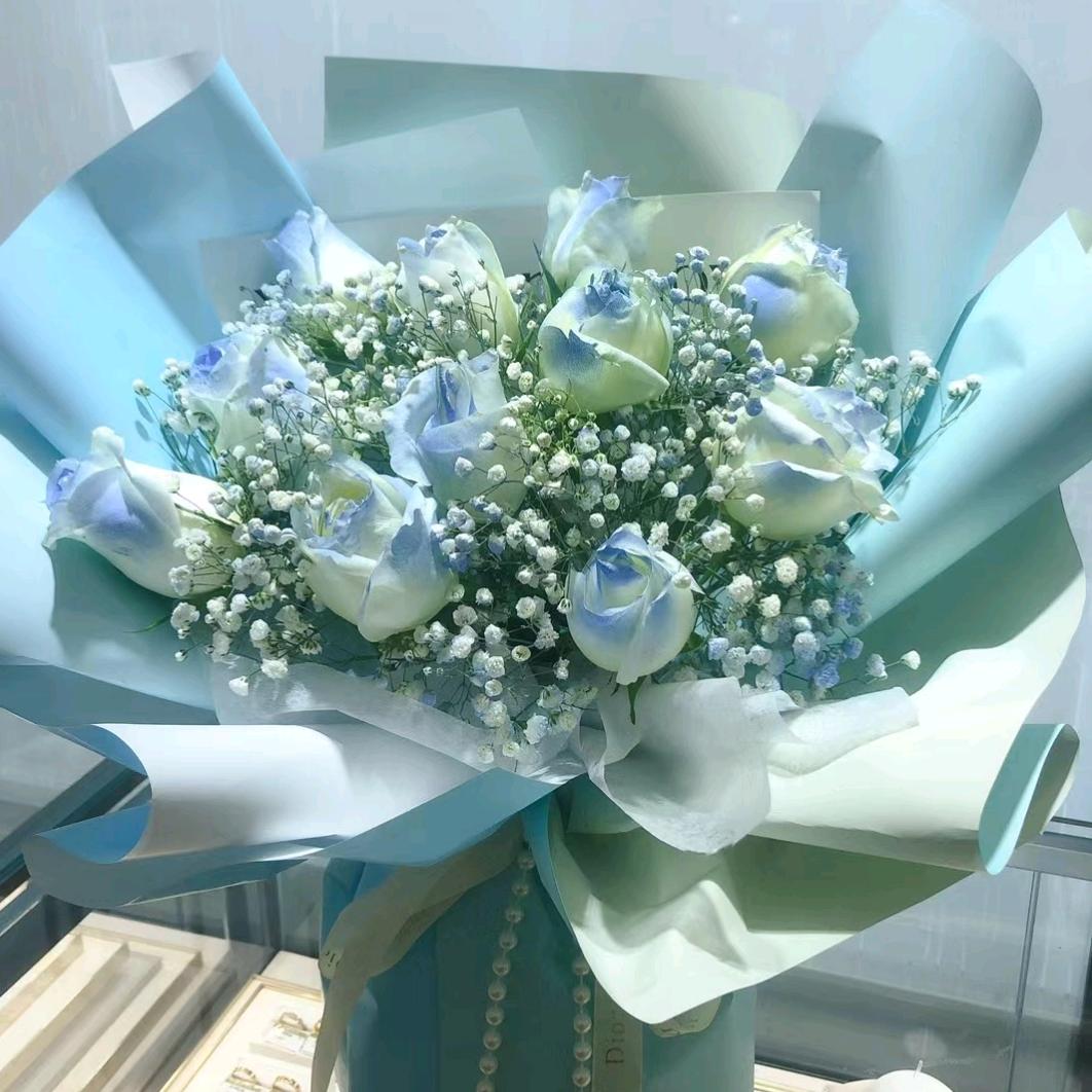 菲儿