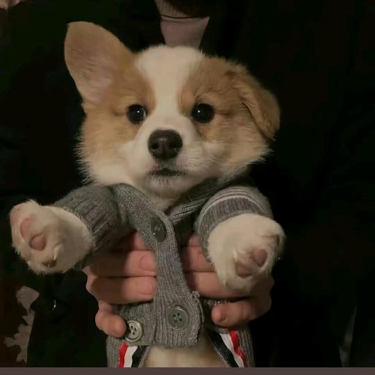 🚬香烟ᝰꫛ不离手ಇ᭄