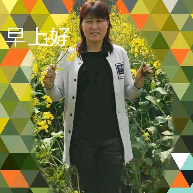 白首相伴