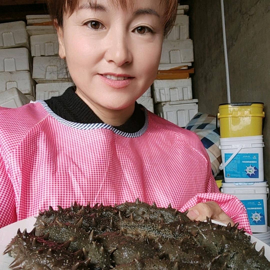 明明妈《不定时直播》