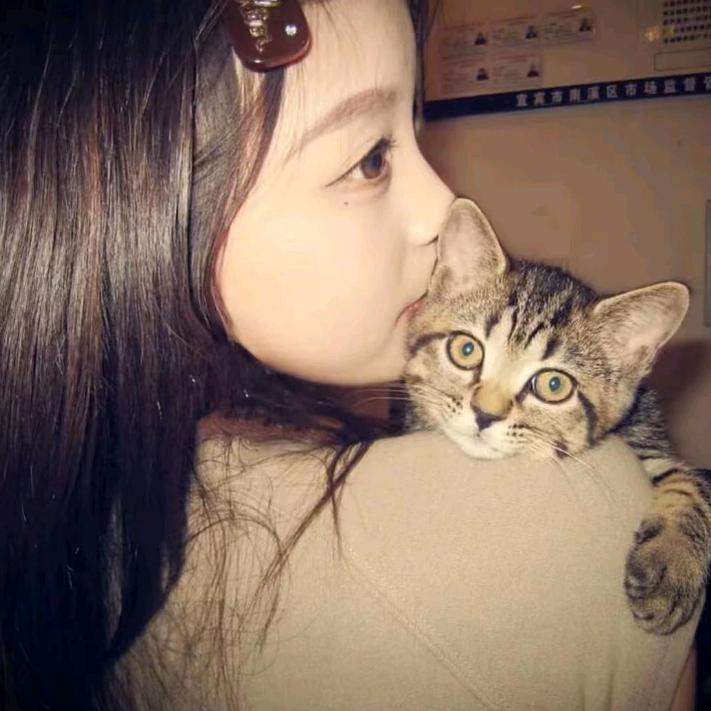 😽