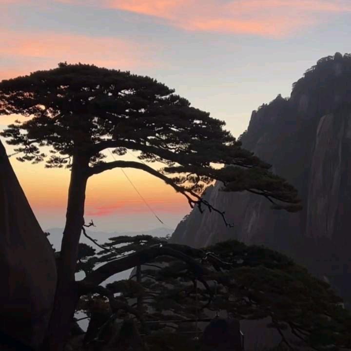 🇨🇳启航🇨🇳