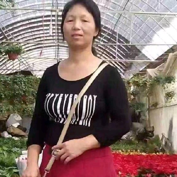 梅花姐中午11点40分