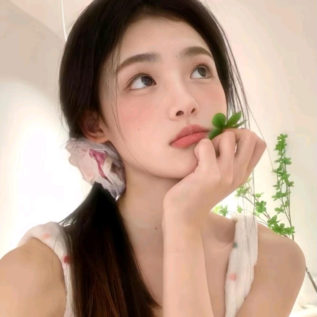 美美11