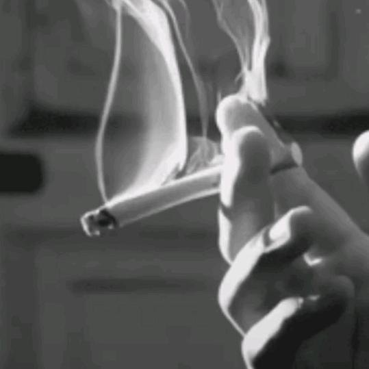 错把✧敷衍(⁰▿⁰)当承诺｡◕‿◕｡
