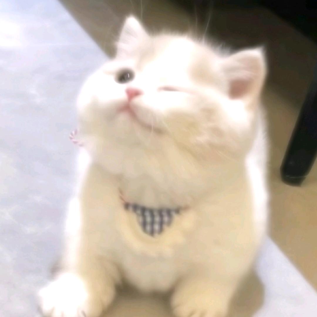 绿芜春