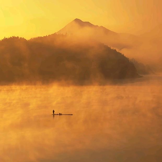 ￴ ￴ 黄秧大白菜