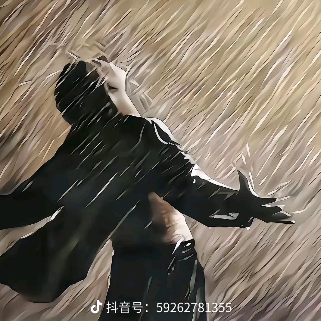 你我乾坤：皆是黑马