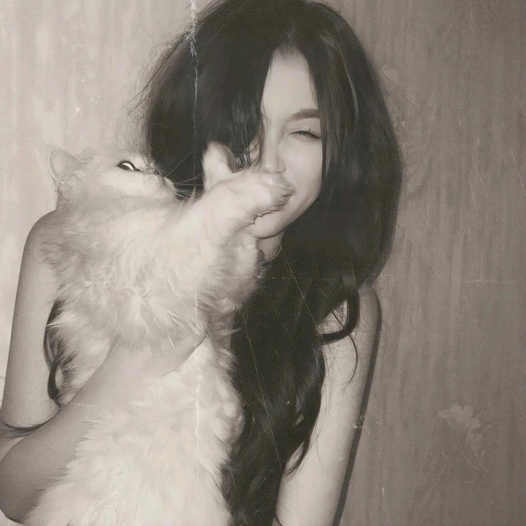 双皮奶盖