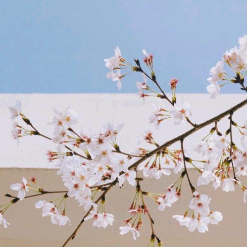 用户1443571177147开心