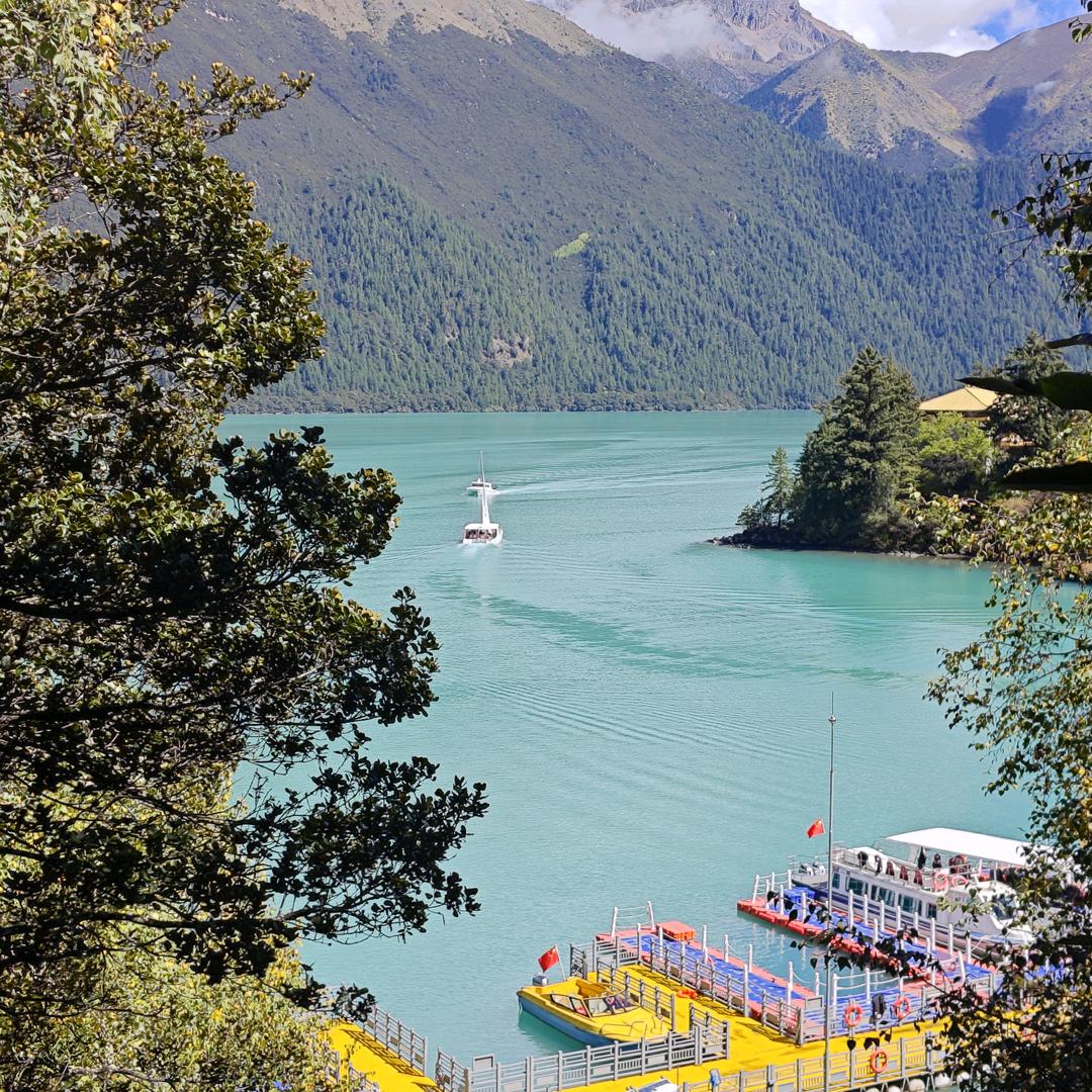 大润发十年杀猪匠