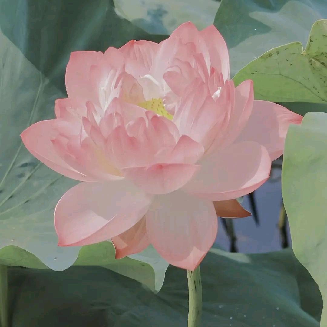 几许人间