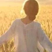 华北柴鸡养殖基地