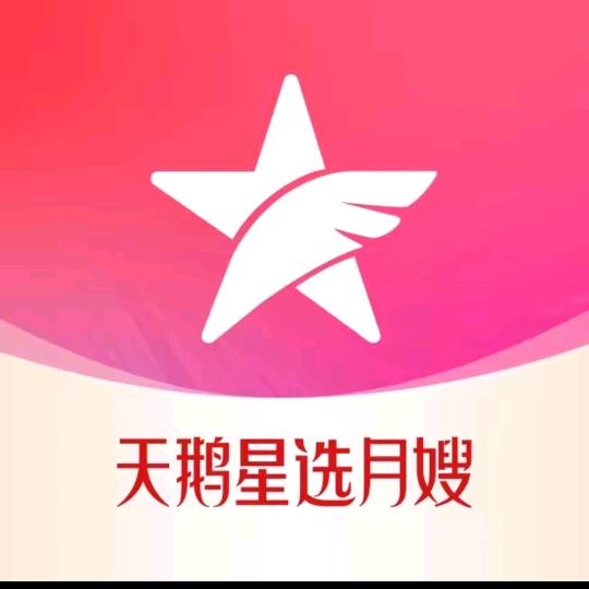 天鹅星选