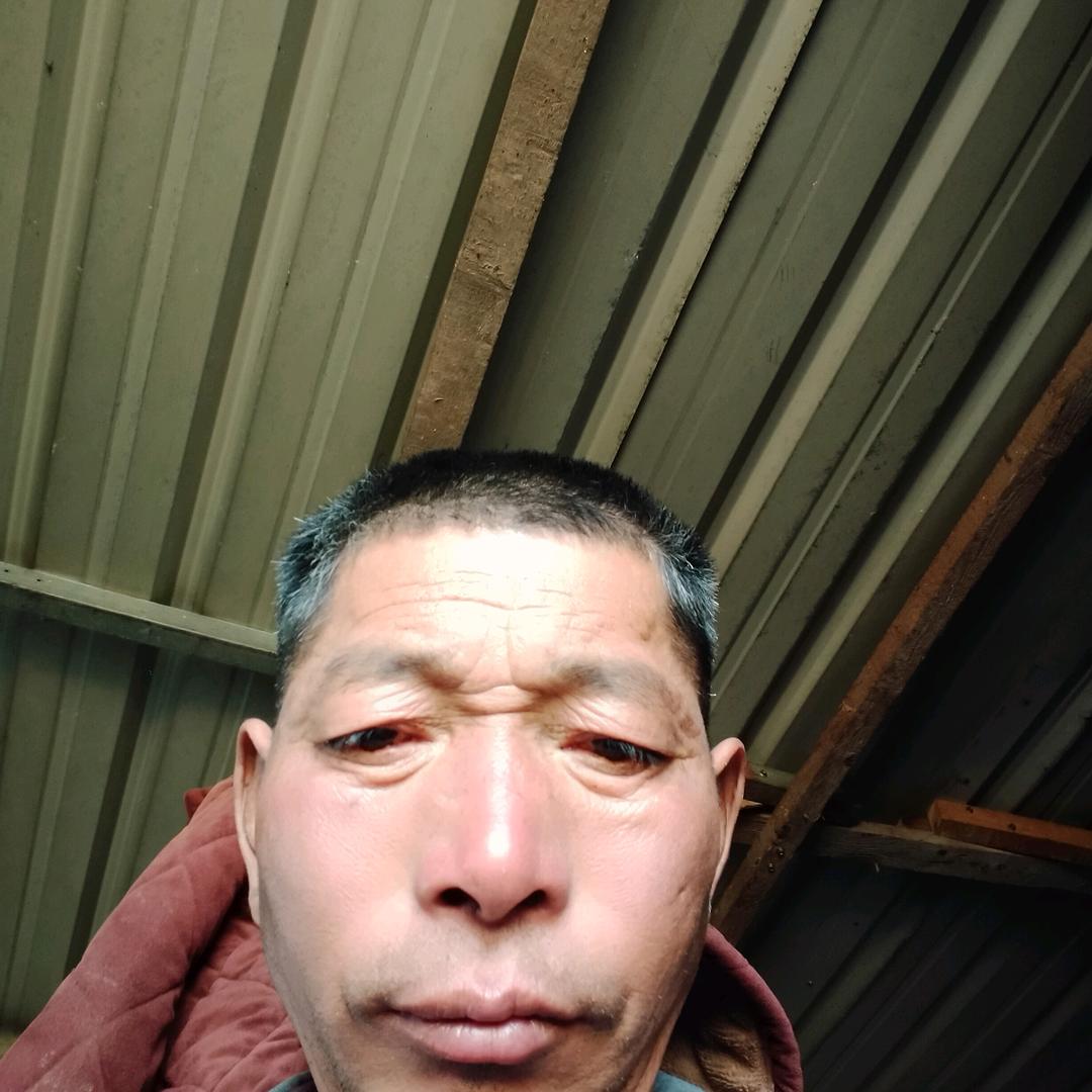 陈建良