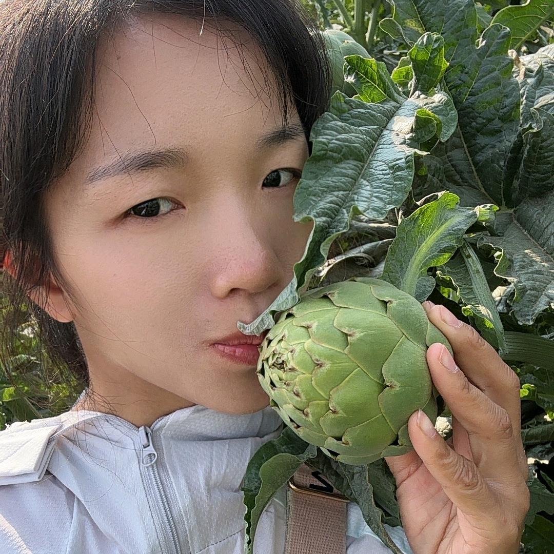 云南小翠🌺