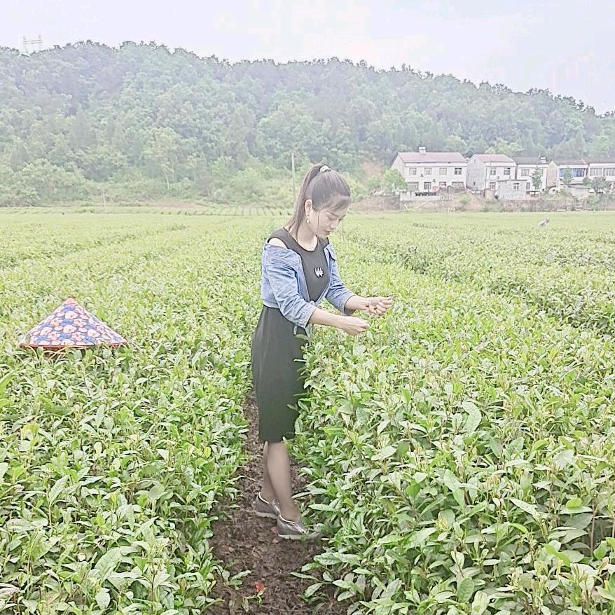 丽娃儿
