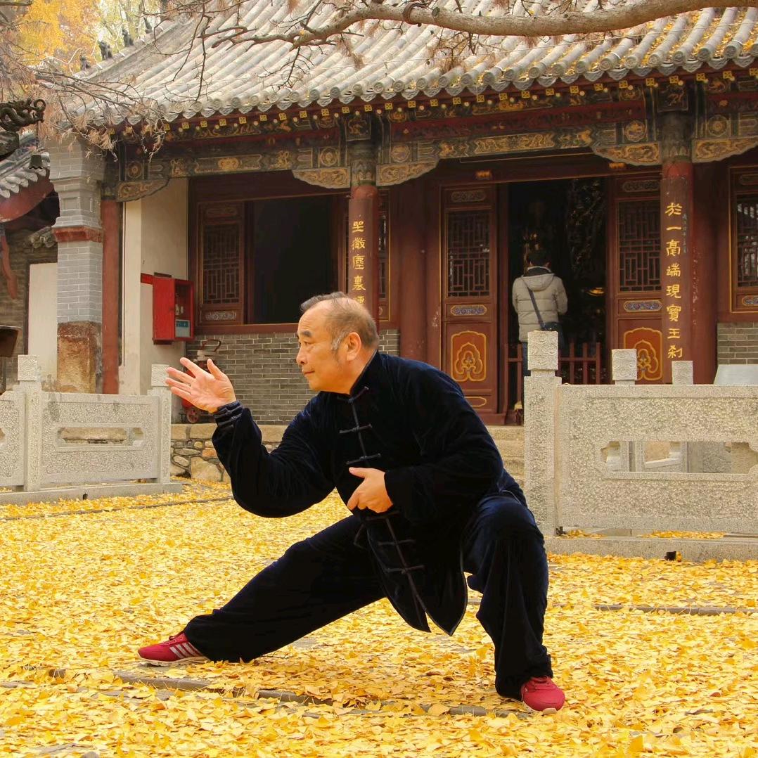 太极老拳师