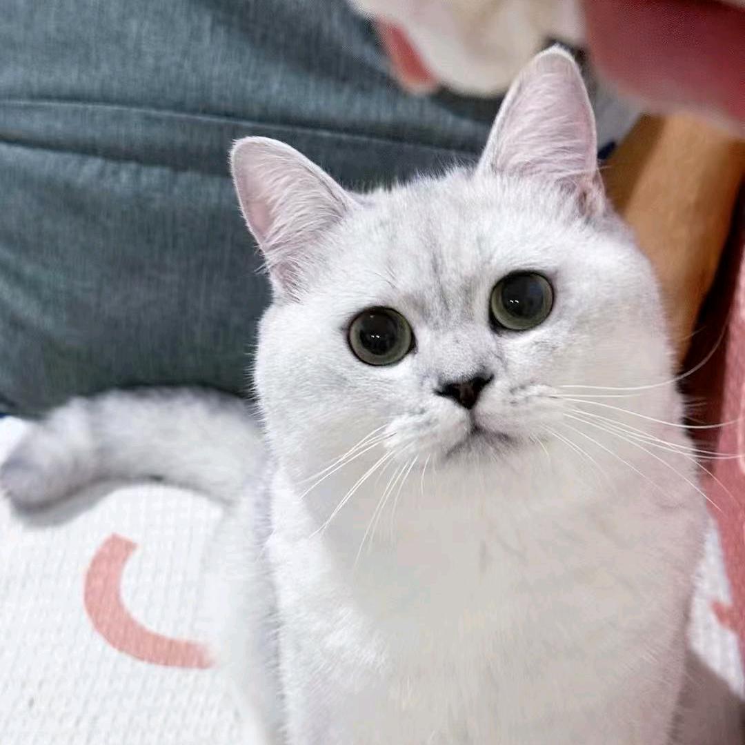 鑫银