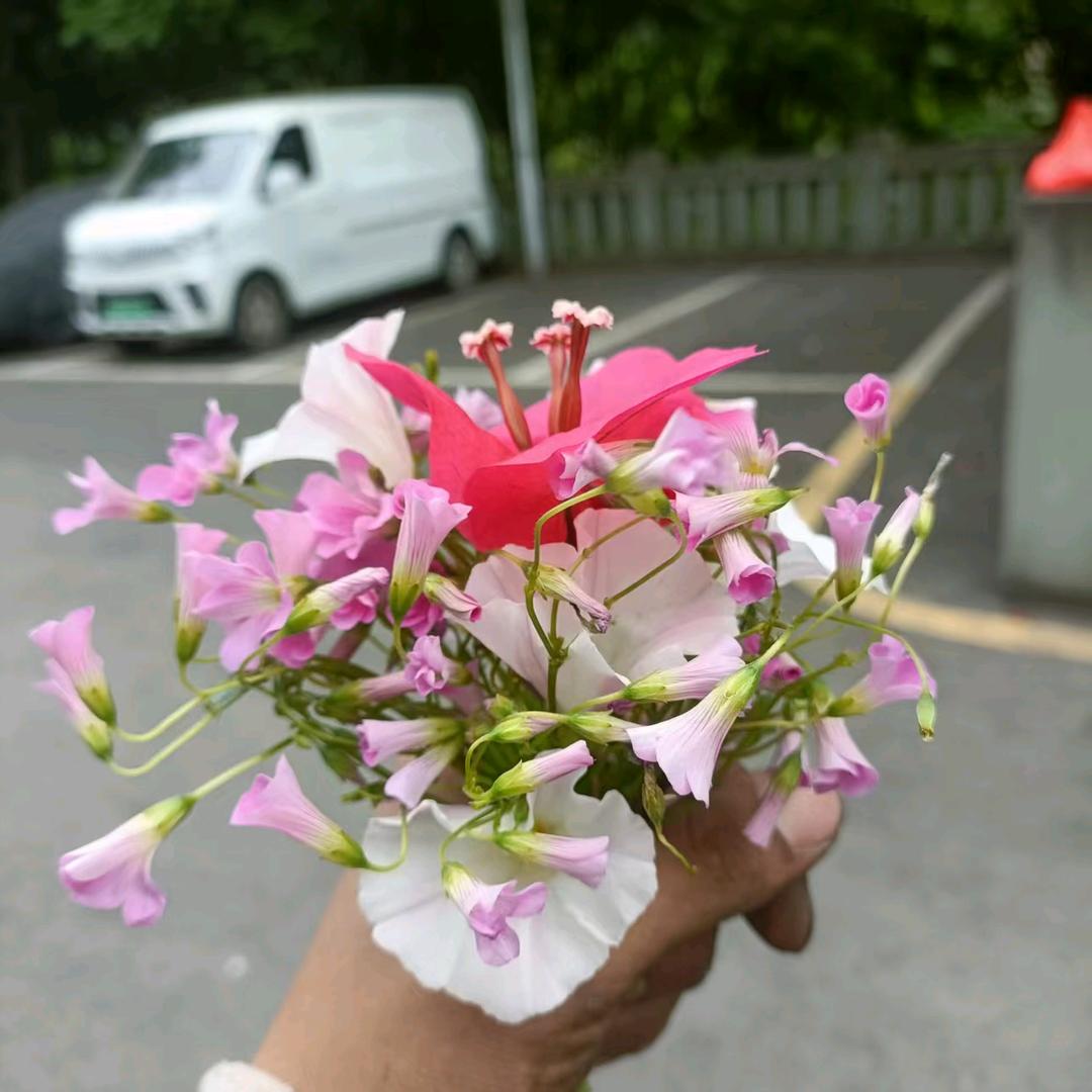 lao粥