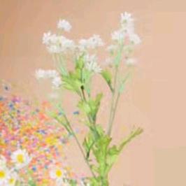 始终如一，，，