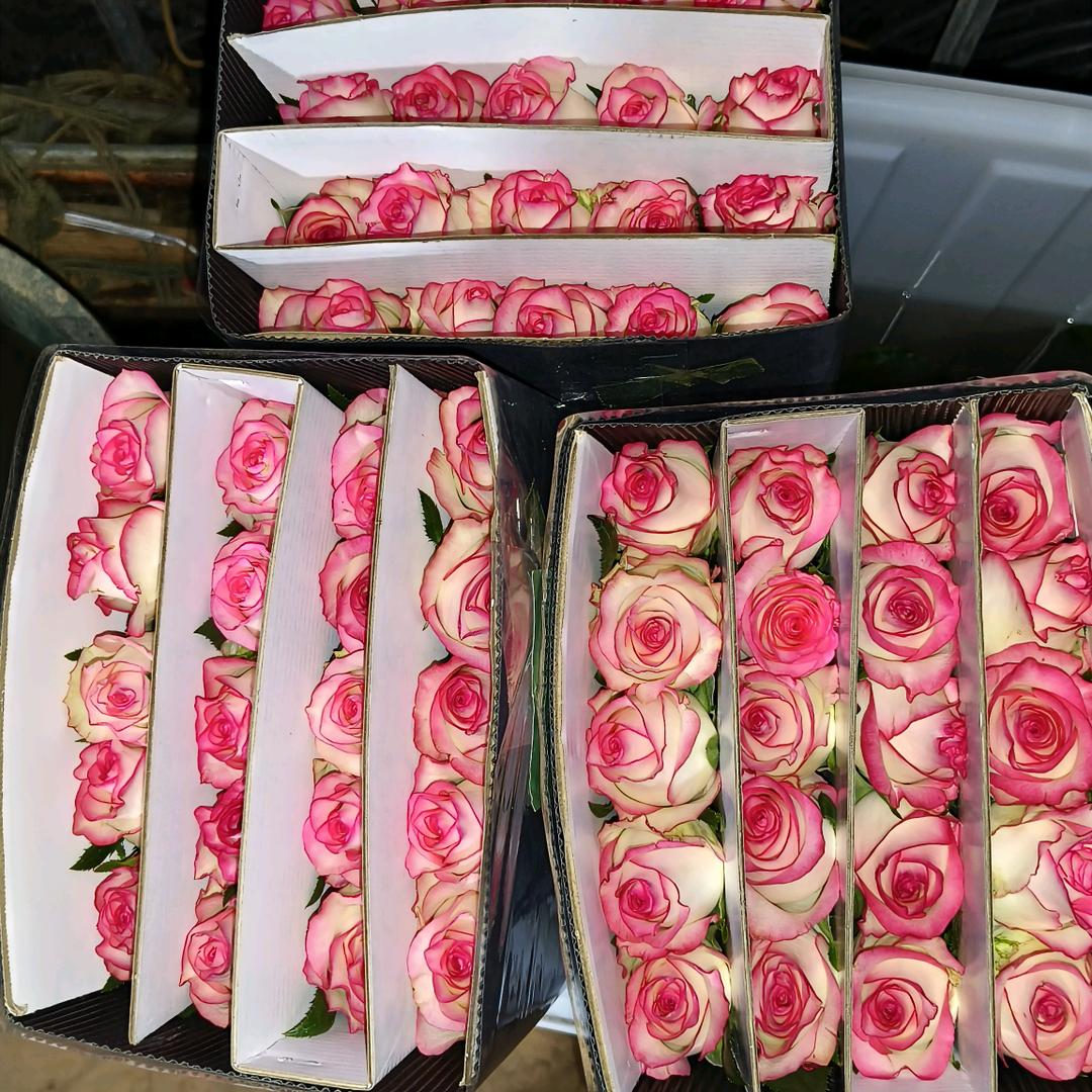 晋宁区香香农zi经营部