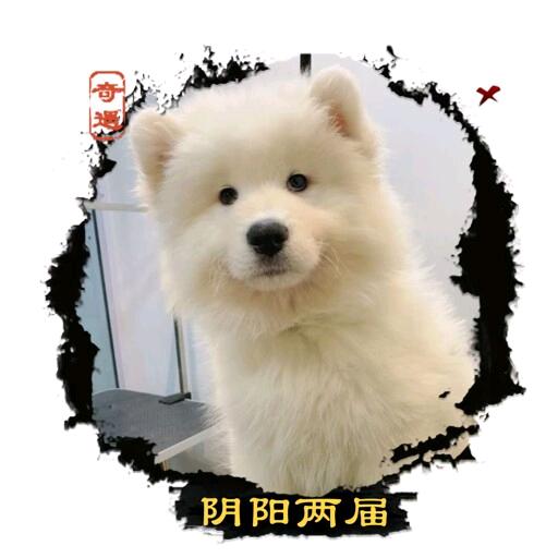 我找到了快乐秘籍
