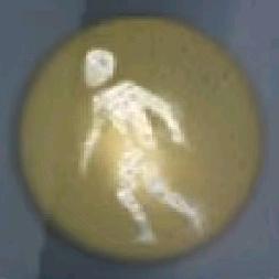 完蛋了要死掉了